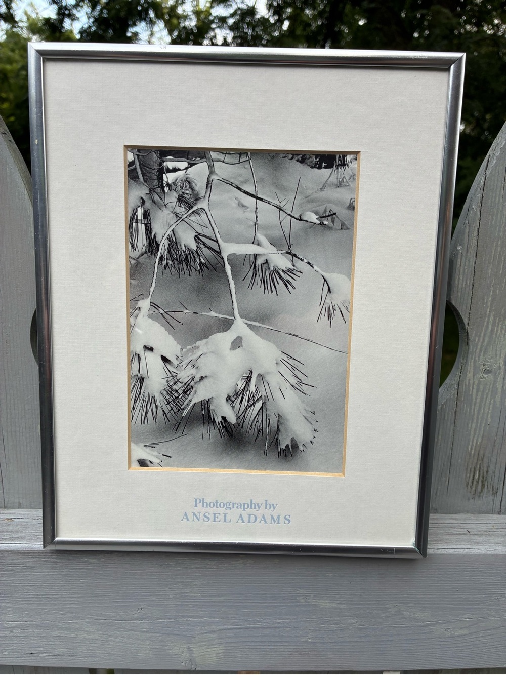 Framed Ansel Adams Studio Photo “Branches in Snow”